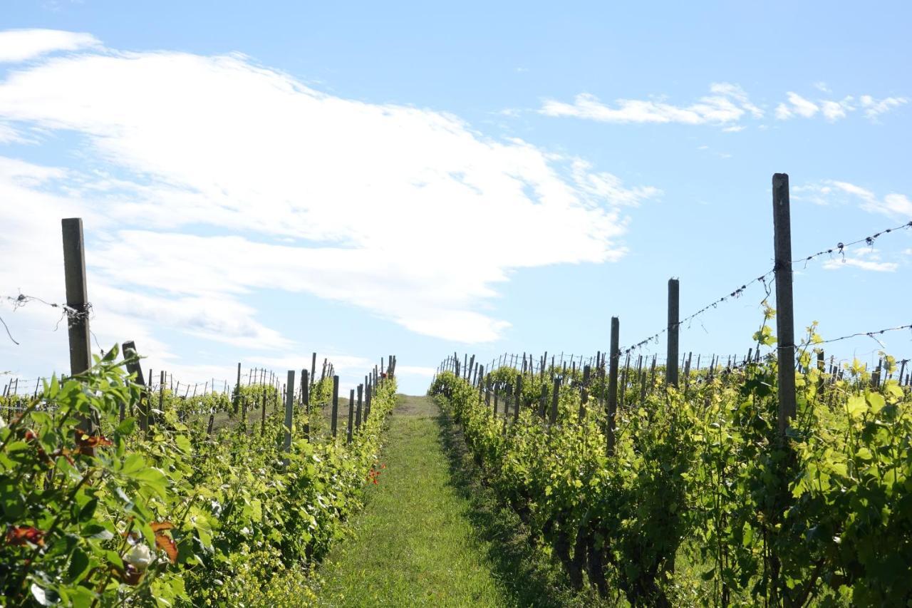 NaturalMente Wine Resort Agliano Terme Exterior foto